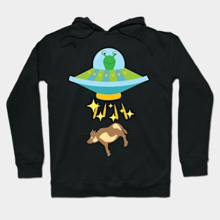 Alien in saucer Hoodie